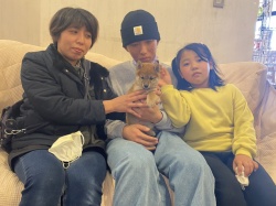 (梅子(うめこ)　柴犬).jpg