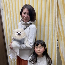 (てて　ポメラニアン).jpg