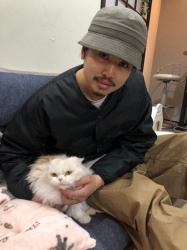 ずんだ　スコティッシュフォールド.jpeg