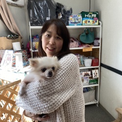 (ミミコ　ポメラニアン).jpg