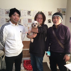 (ママレード　シーズー).jpg