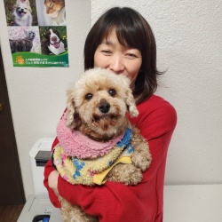 (みすと　トイプードル).jpg