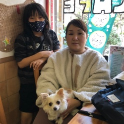 ナツヨ　チワワ.jpeg