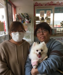 ポニャ　ポメラニアン.jpeg