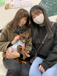 ユーロ　ミニチュアピンシャー.jpeg