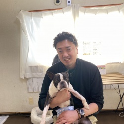 (ぼん太 ボストンテリア).jpg