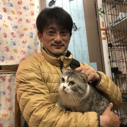 アド　スコティッシュフォールド.jpeg