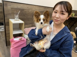ライチャ　パピヨン.jpeg