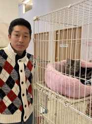 (りん アメリカンショートヘア).jpg