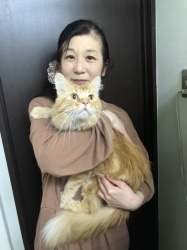 パレオ　メインクーン.jpeg