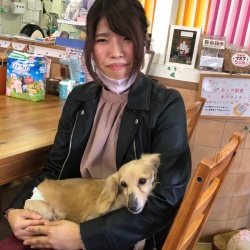 ヘンディ　ミニチュアダックスフンド.jpeg
