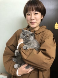 アッメ　エキゾチックショートヘア.jpeg