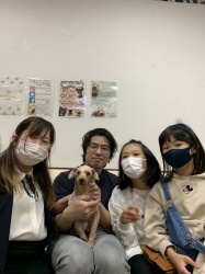 エブリン　トイプードル.jpeg