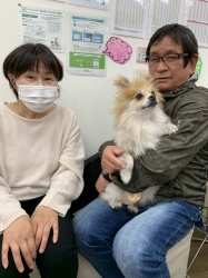 ヘーゼル　ポメラニアン.jpeg