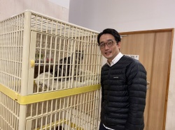 (ギントキ　アメリカンショートヘアー).jpg