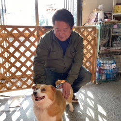 (ねぎ ウェルシュコーギーペンブローグ).jpg