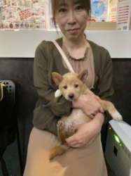 すずな　雑種.jpeg