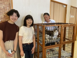 (さつき ノルウェージャンフォレストキャット).jpg