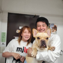 (ぼんち フレンチブルドッグ).jpg