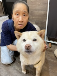 もんたろー　柴.jpeg