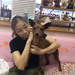 ウィンクル　ミニチュアピンシャー.jpeg