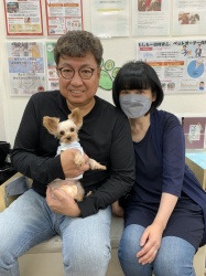 藤子　ヨークシャテリア.jpeg