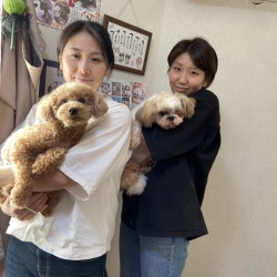 (モミ シーズー).jpg