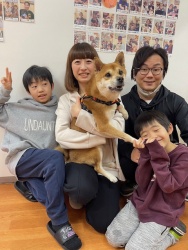 (ハンサム　雑種犬).JPG