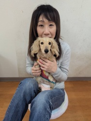 (葵（あおい）　ミニチュアダックスフンド).JPG