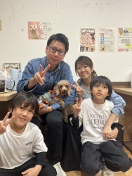 (ブロンコ　トイプードル).JPG