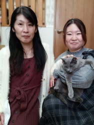 (シーラ　ロシアンブルー).JPG