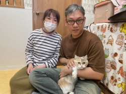(トリクシー　マンチカン).JPG