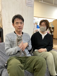 (どな ブリティッシュショートヘアー).jpg