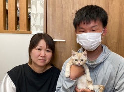 (バナナン　アメリカンショートヘア).JPG