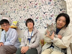 (トロ　マンチカン).JPG