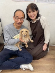 (フラップ　ミニチュアダックスフンド).JPG