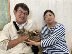 (ちみこ スコティッシュフォールド).jpg
