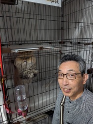 (みるも　ペルシャ).jpg