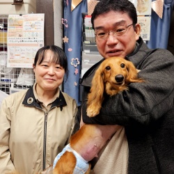 (あかる　カニンヘンダックスフンド).jpg