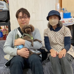 (ダイナ トイプードル).jpg
