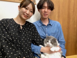 (パルーザ　ブリティッシュショートヘア).JPG