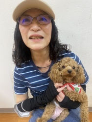 (朝顔（あさがお）　トイプードル).jpg