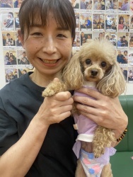 (ナジュム　トイプードル).JPG
