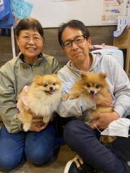 (ティムタム　ポメラニアン).JPG
