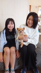 (りゅうせい ポメラニアン).jpg