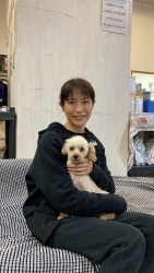 (モン トイプードル).jpg