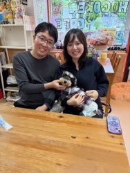 (アルドル　ミニチュアシュナウザー).JPG