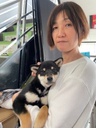 (むおうしゅ　柴犬).JPG