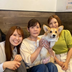 (らくえん　ウェルシュコーギーペンブローク).JPG