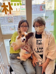 (カファレル　パピヨン).JPG